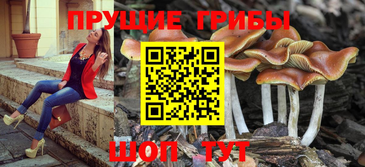 Галлюциногенные грибы Cubensis Советск